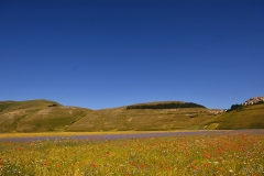 a_DSC0042