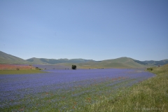 a_DSC0128