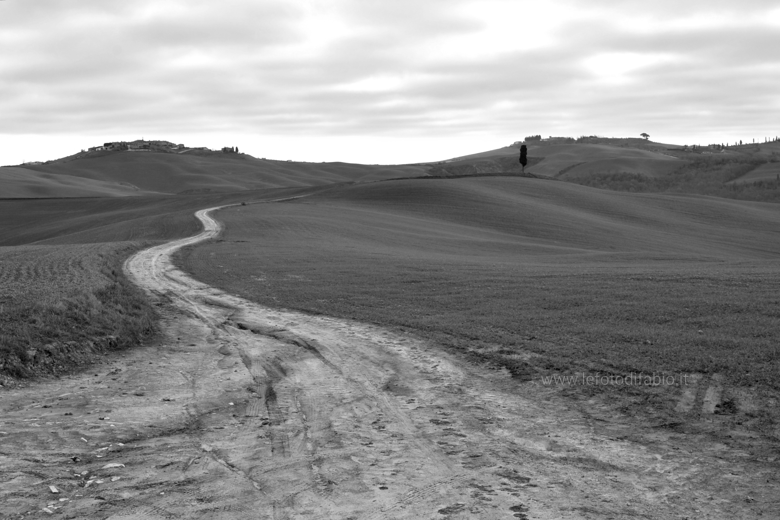 Non esiste strada dritta per raggiungere la pace.