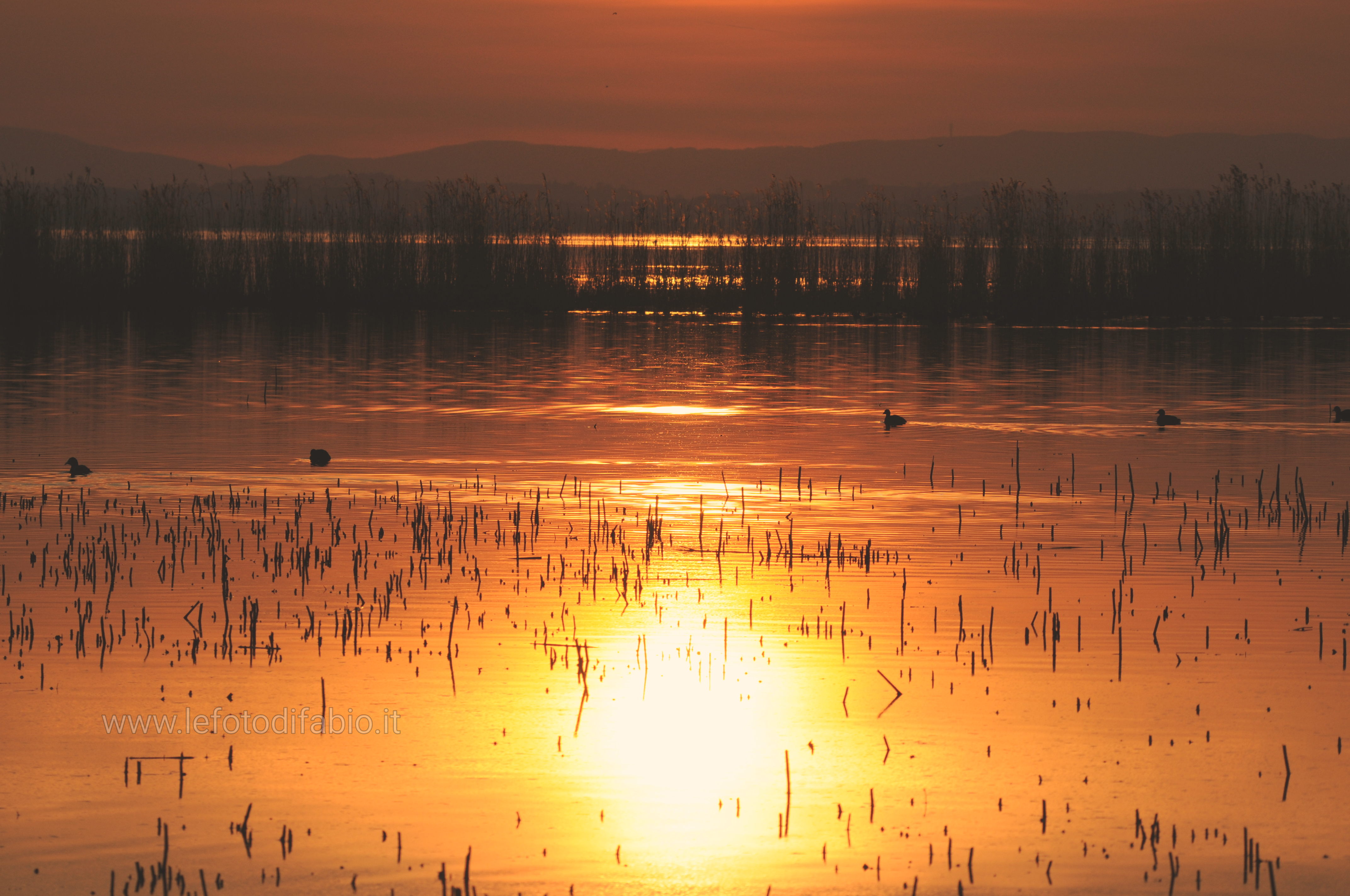 Quando ancora aspettavamo la primavera – 03/03/2019