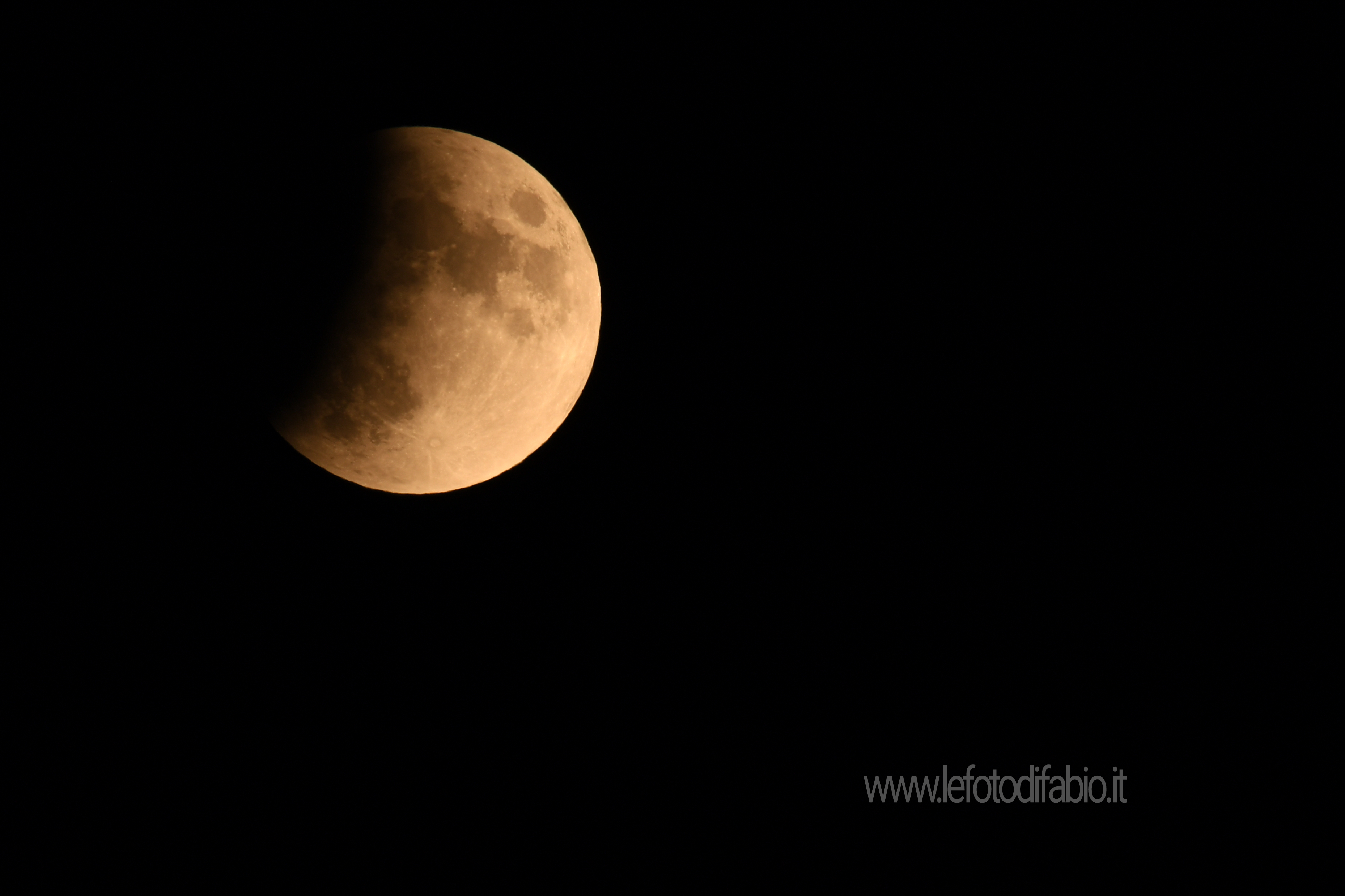 Ci sono notti in cui i lupi tacciono e solo la luna urla George Carlin