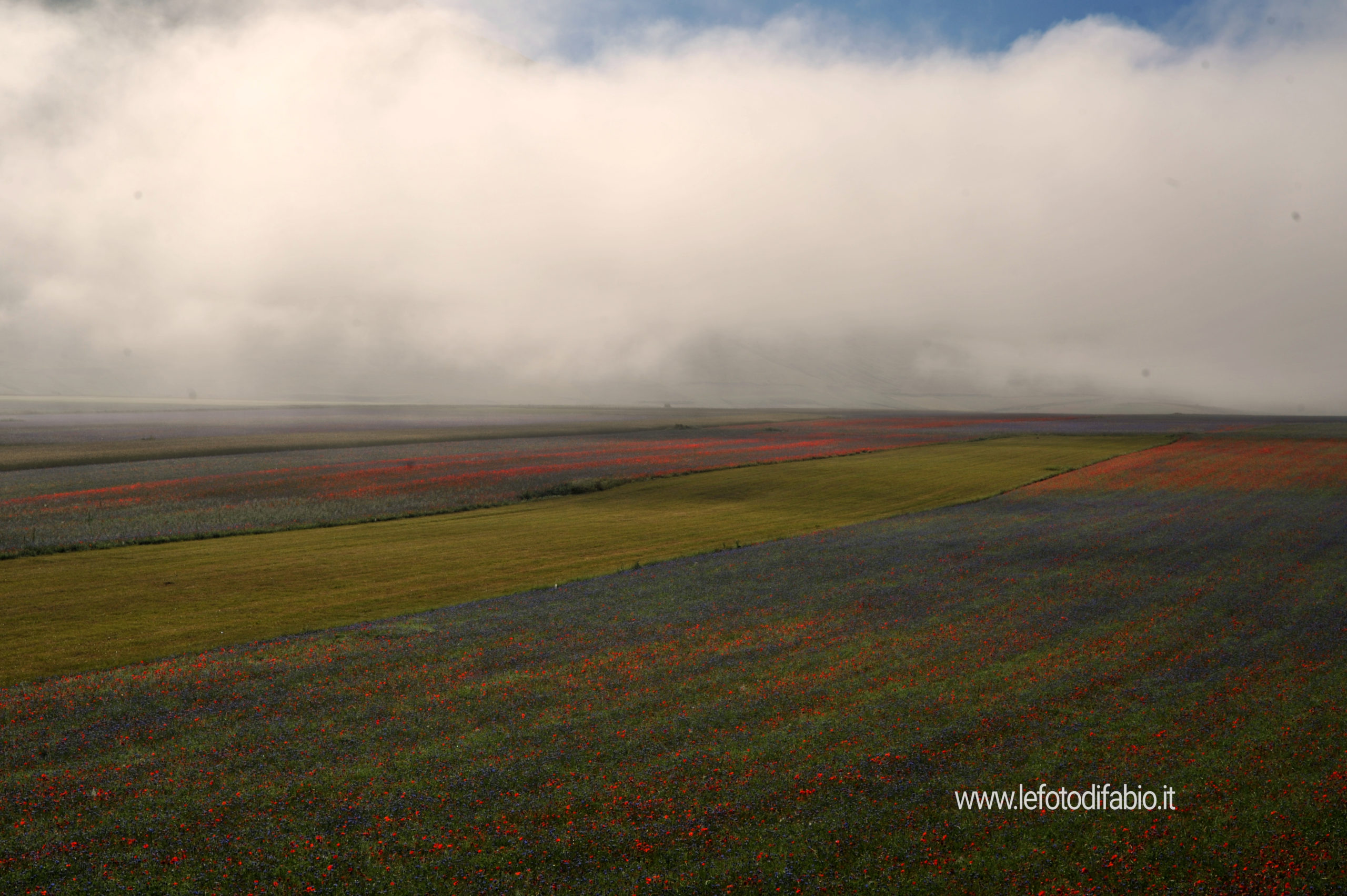 Il paradiso in terra è quel luogo dove le nuvole di nebbia svelano colori che solo i sogni immaginano