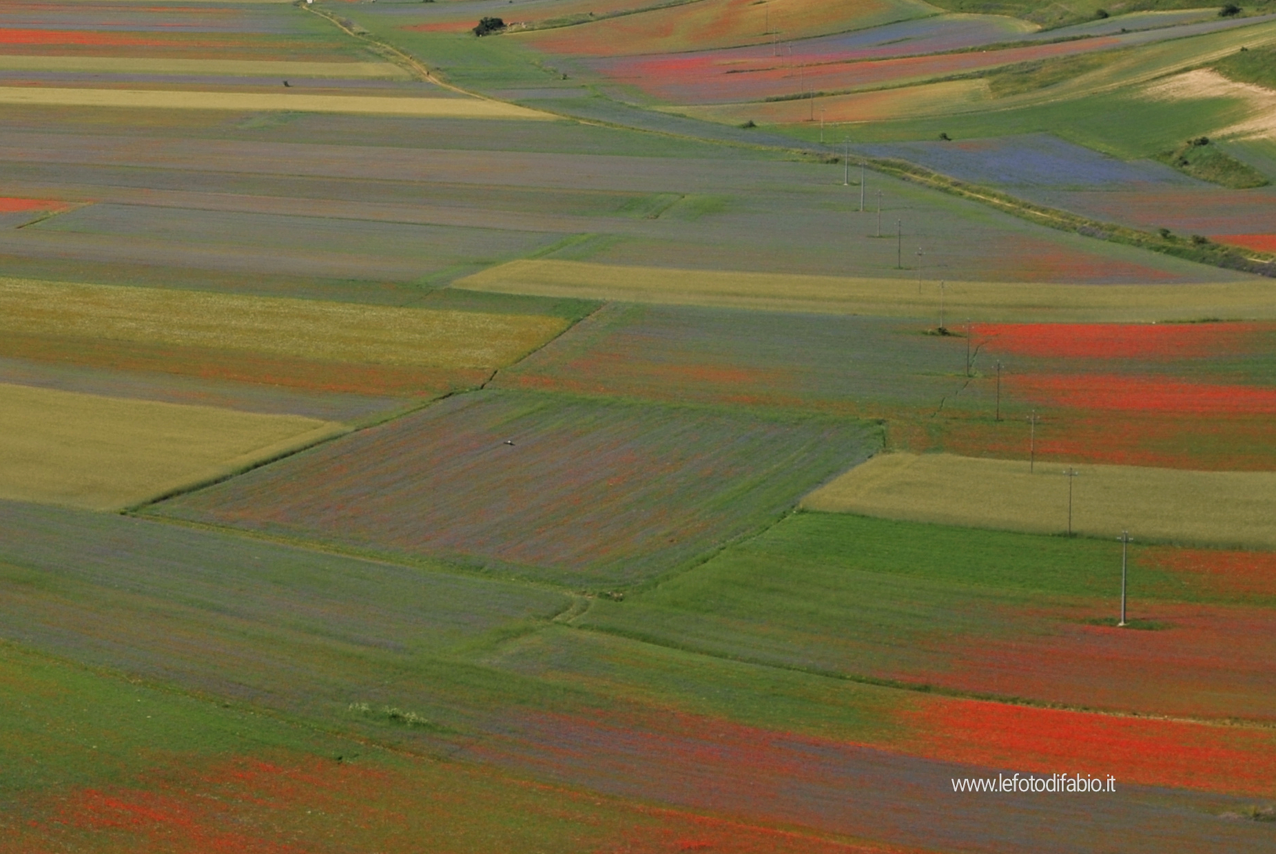 Ognuno ha il suo mare. In Umbria lo abbiamo a colori. Pian Grande 06/07/2020