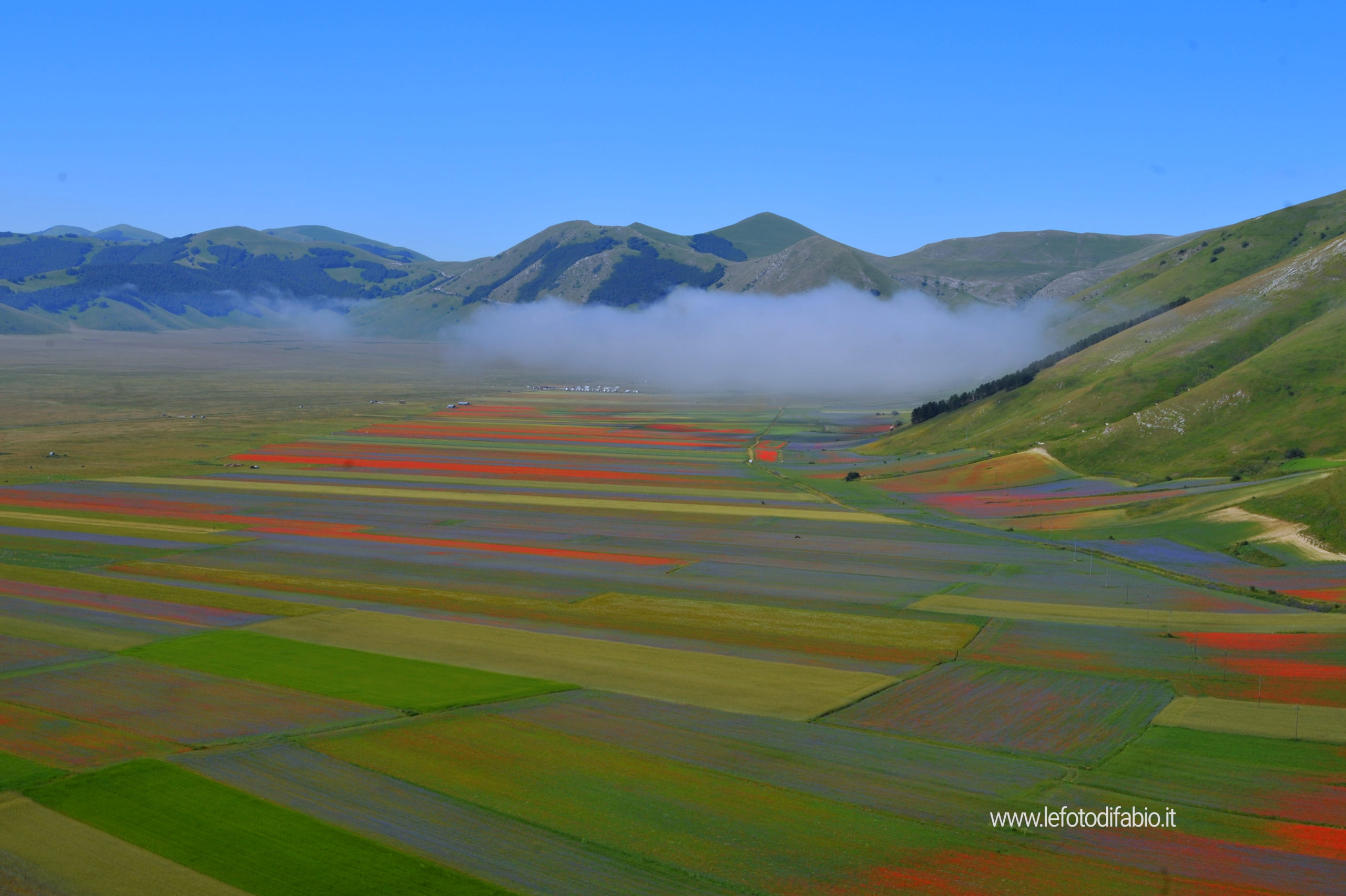 Dalla natura all’uomo. Fiorita 2020. Castelluccio di Norcia 06/07/2020