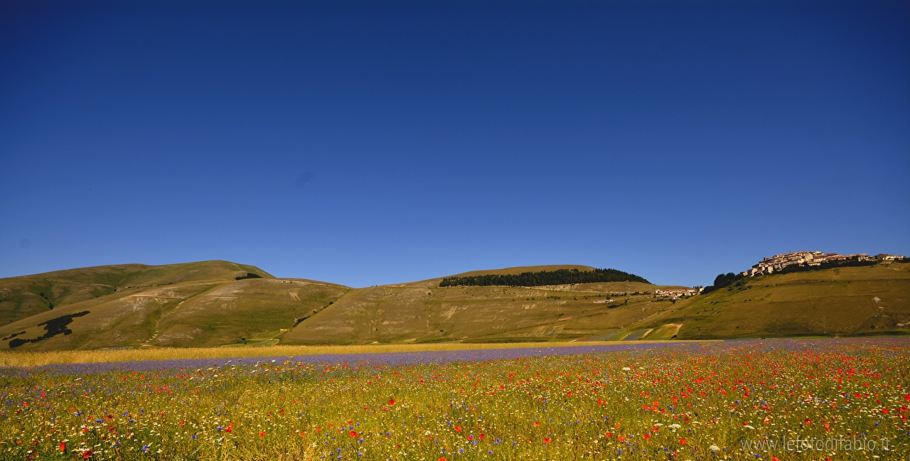 Castelluccio di Norcia – Lo spettacolo della fioritura